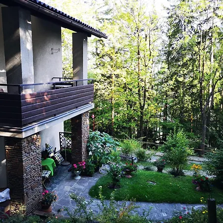 Waldnest Am Semmering * Unter Adlitzgraben